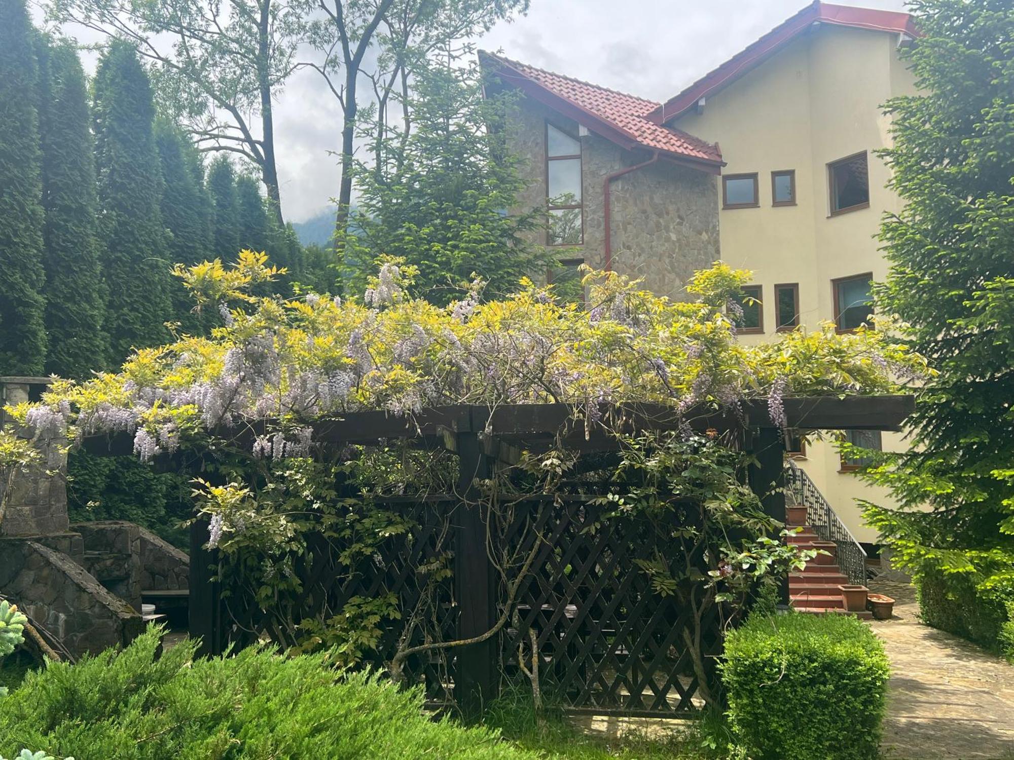 Wine Cellar Villa With Beautiful Garden In Sinaia - Busteni Poiana Tapului Dış mekan fotoğraf