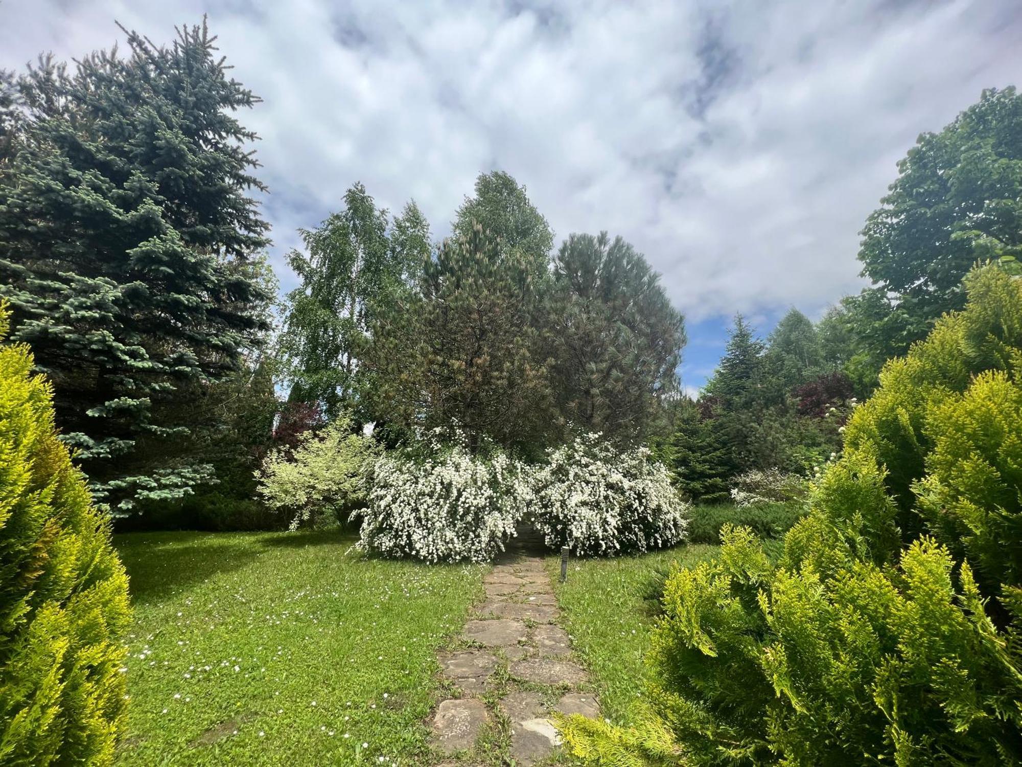 Wine Cellar Villa With Beautiful Garden In Sinaia - Busteni Poiana Tapului Dış mekan fotoğraf