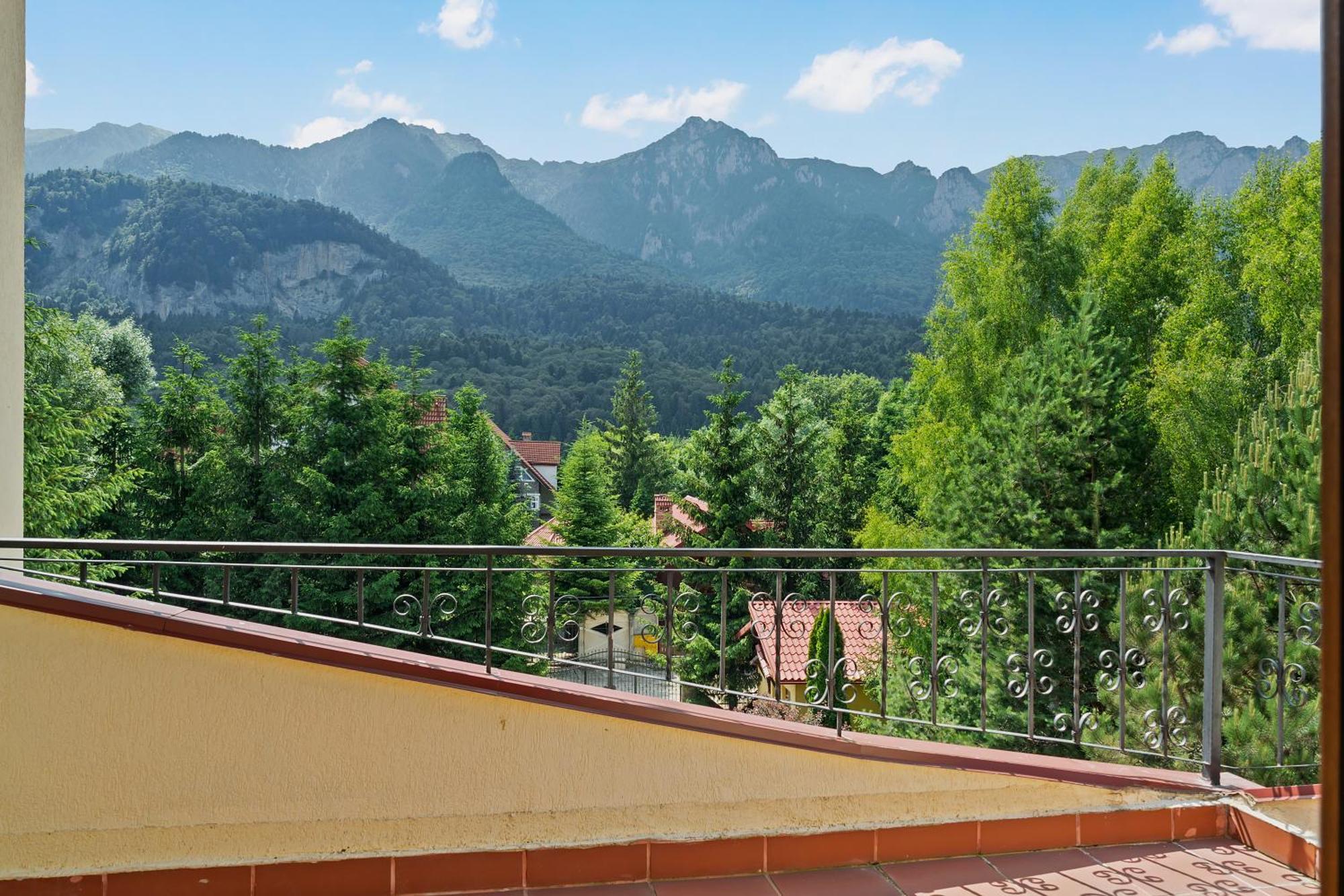 Wine Cellar Villa With Beautiful Garden In Sinaia - Busteni Poiana Tapului Dış mekan fotoğraf