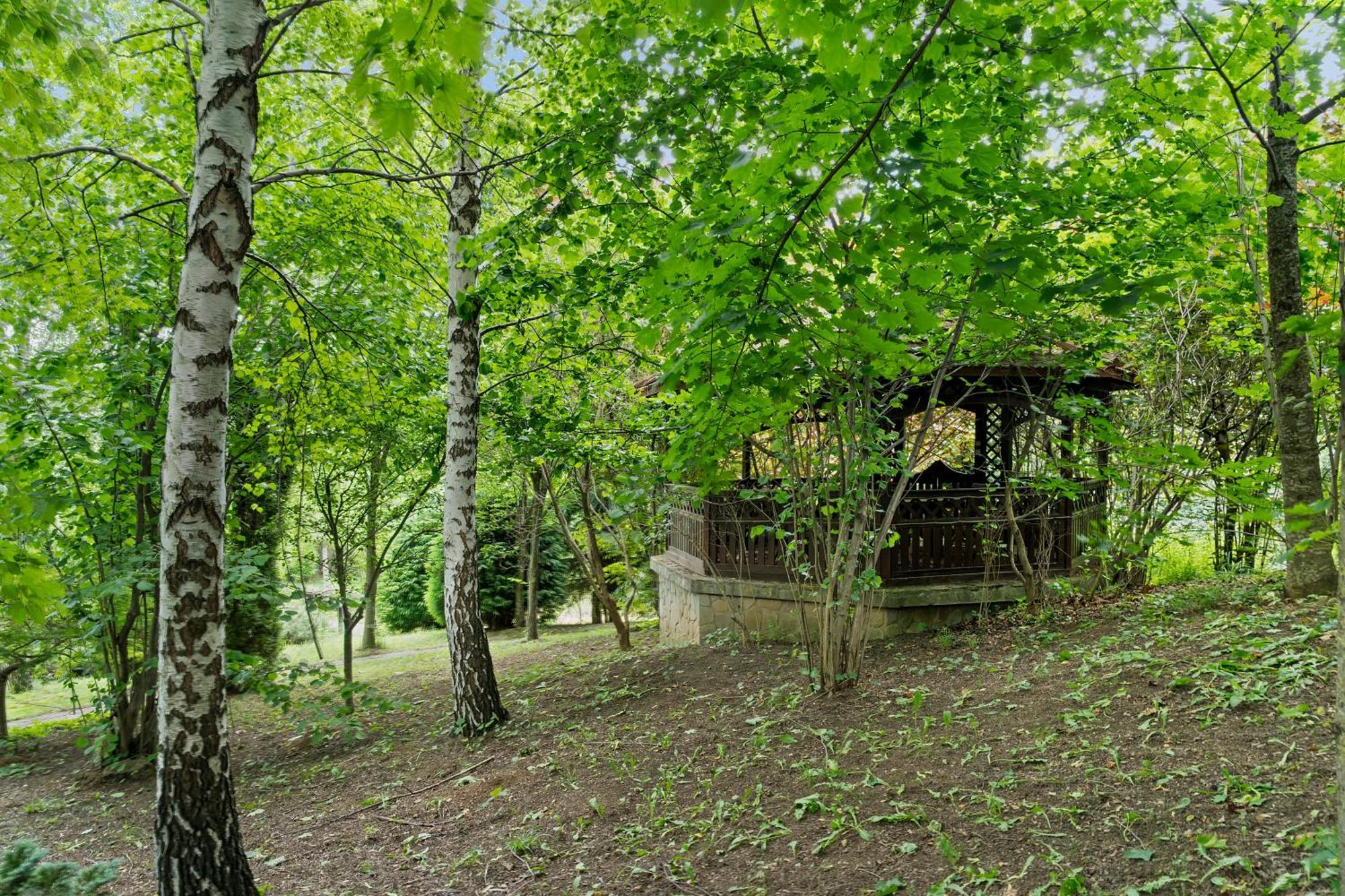 Wine Cellar Villa With Beautiful Garden In Sinaia - Busteni Poiana Tapului Dış mekan fotoğraf