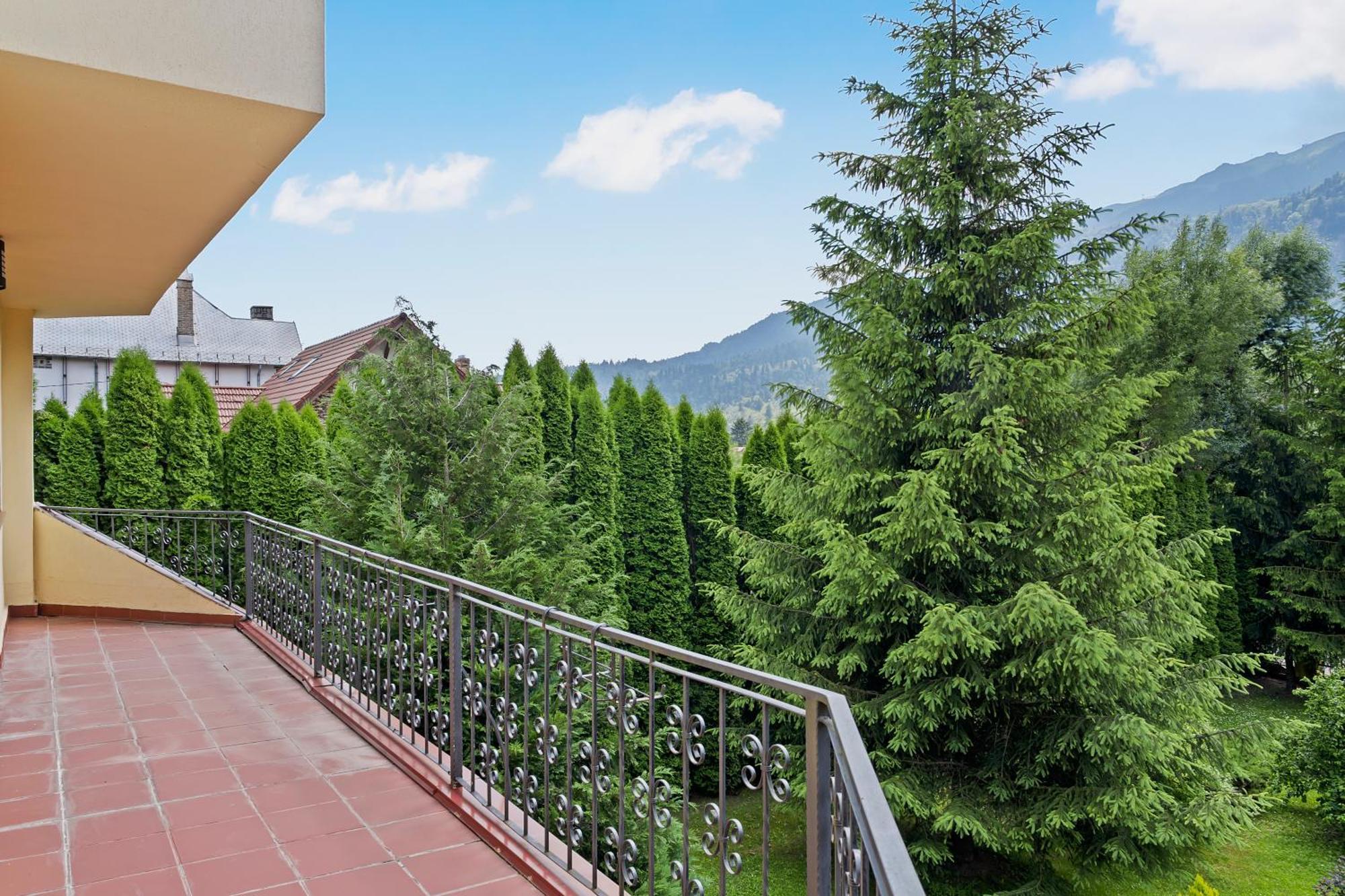 Wine Cellar Villa With Beautiful Garden In Sinaia - Busteni Poiana Tapului Dış mekan fotoğraf